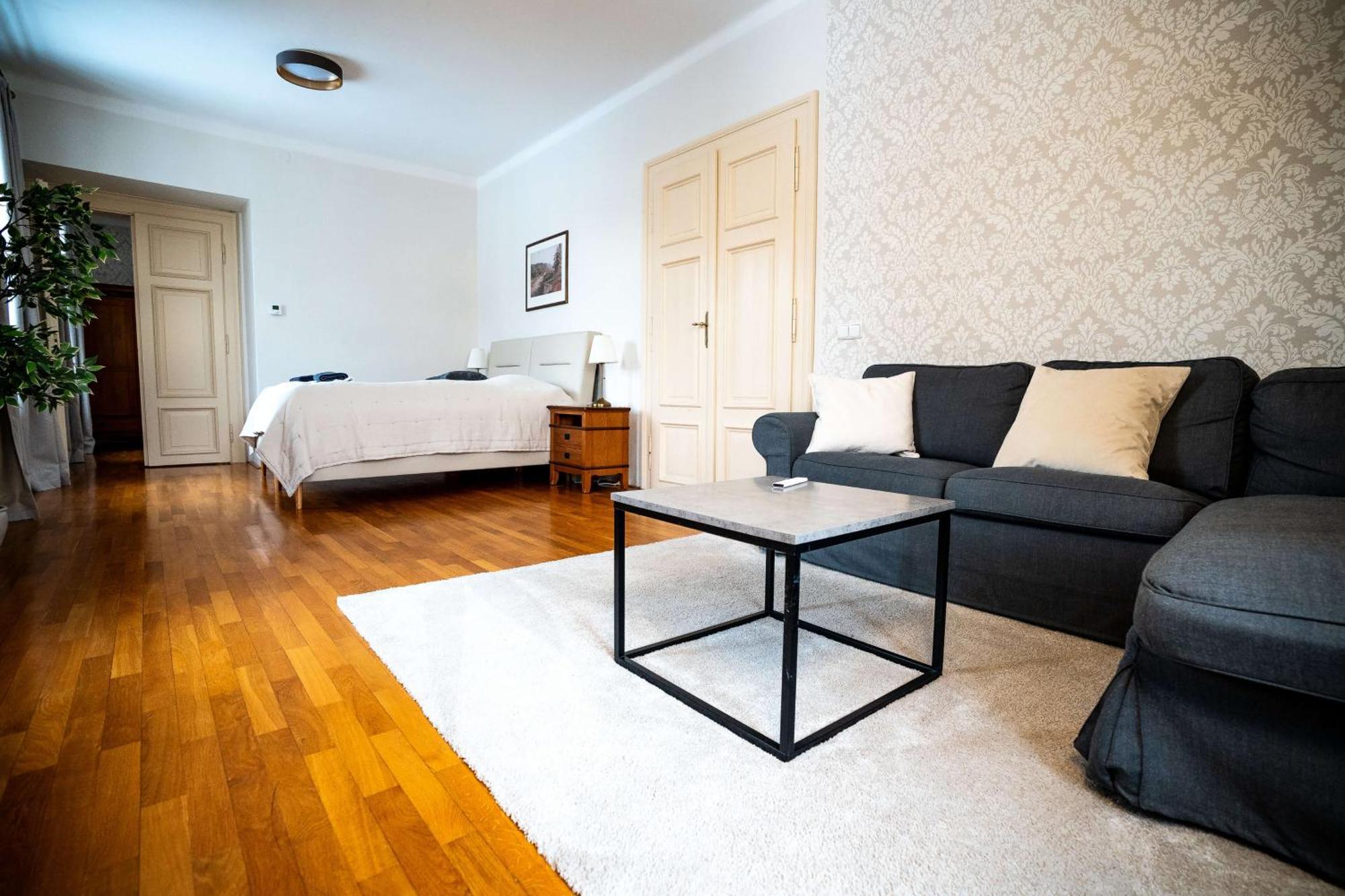 Chateau Apartment Decin